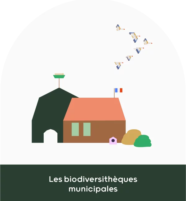 Illustration de la ressource : La biodiversithèque