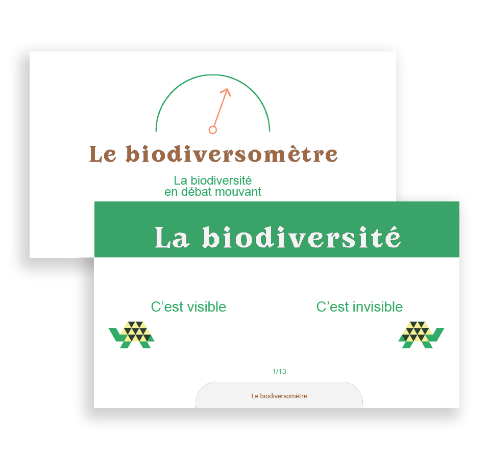 Illustration de la ressource : Les questions du débat mouvant