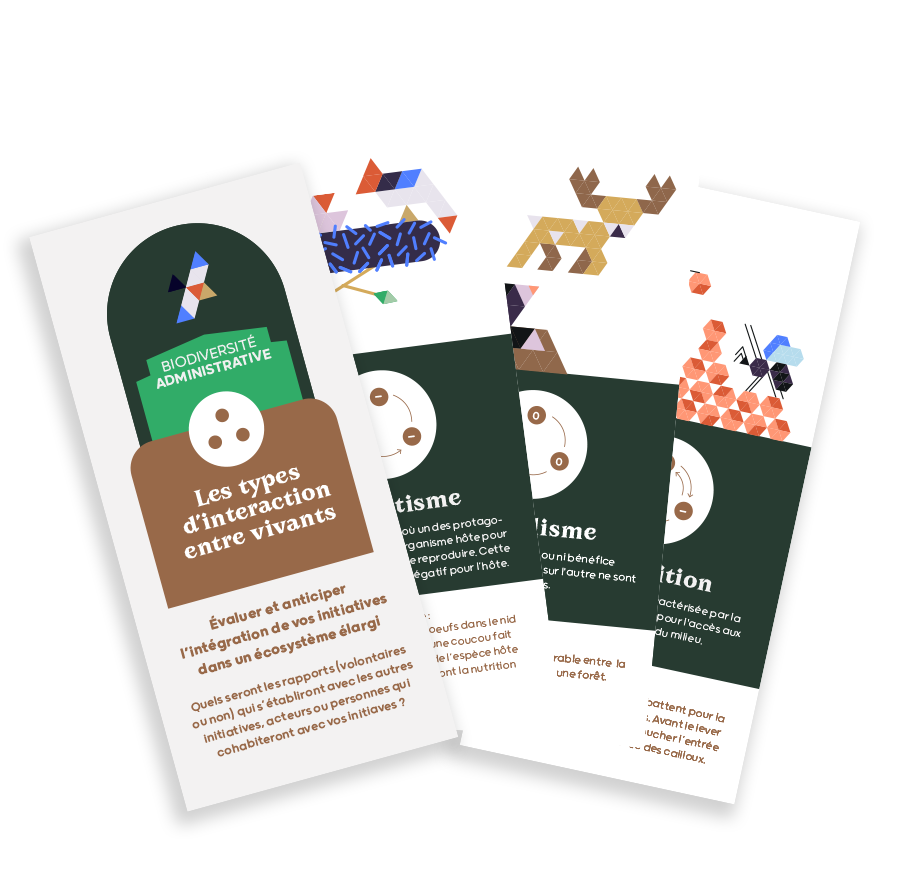 Illustration de la ressource : Les cartes interactions