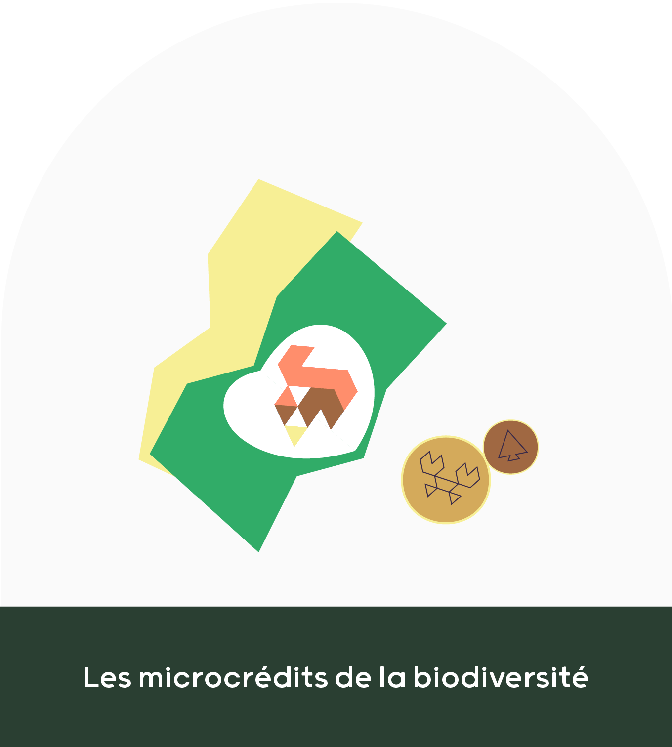 Illustration de la ressource : Les microcrédits de la biodiversité