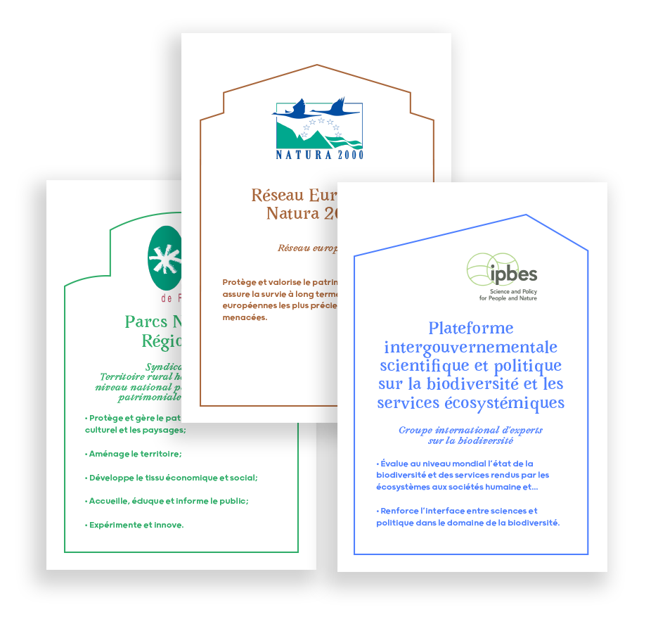 Illustration de la ressource : Les cartes acteurs