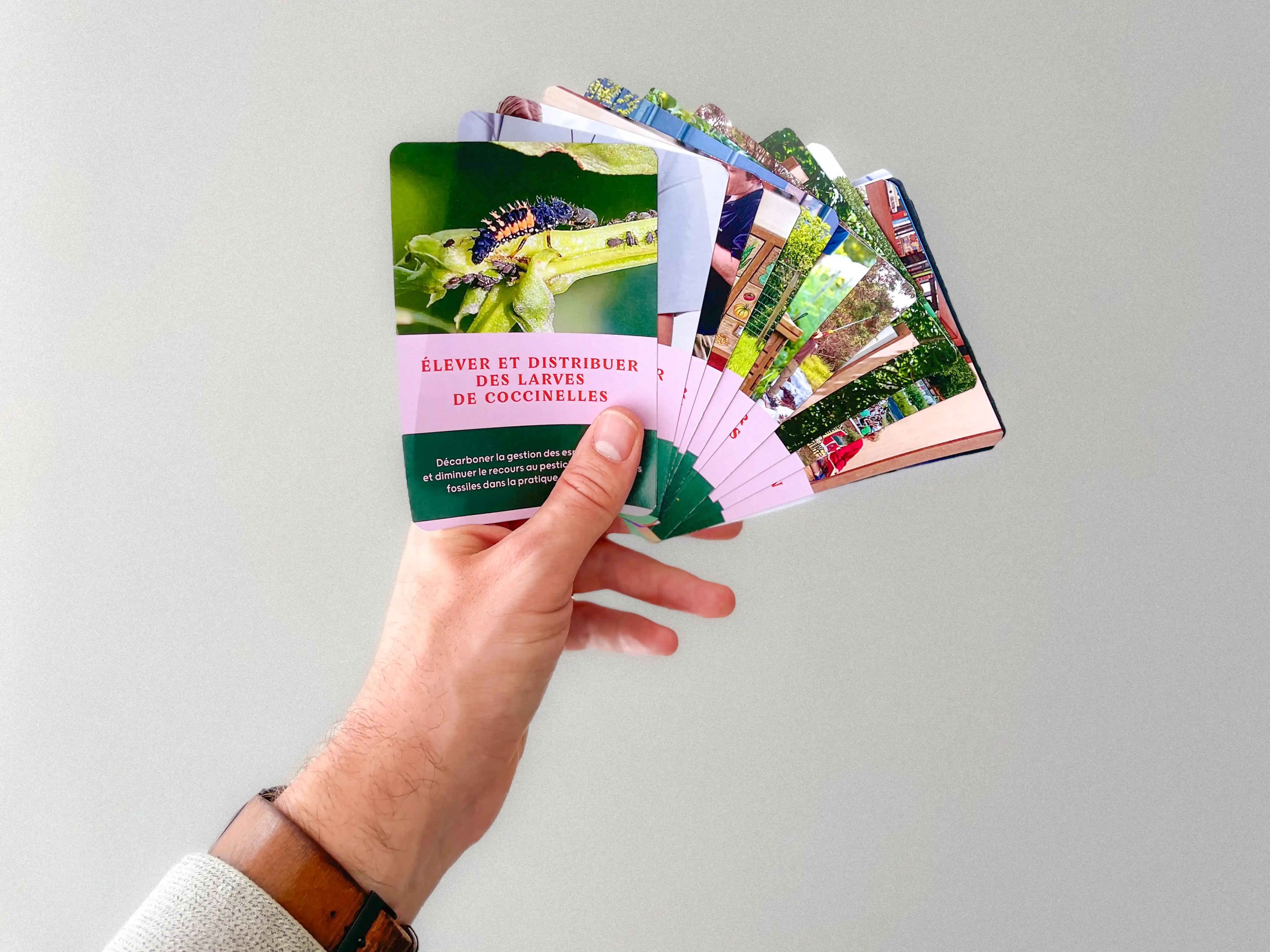 Illustration de la ressource : Cartes d’aide à la programmation d’une biodiversithèque