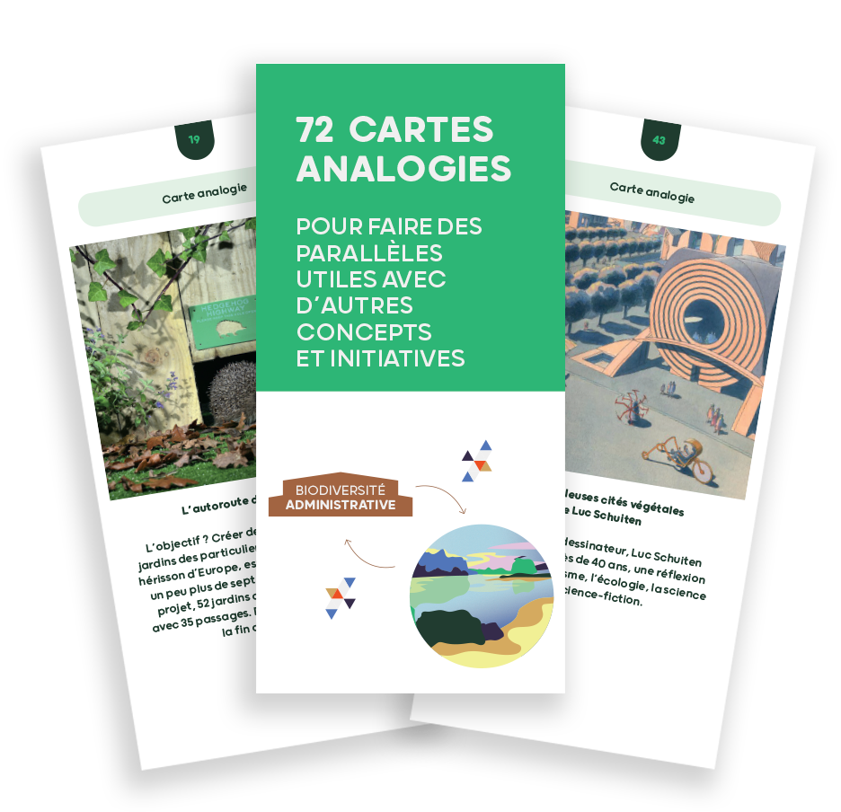Illustration de la ressource : Les cartes analogies