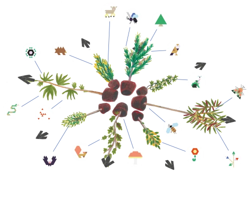 illustration