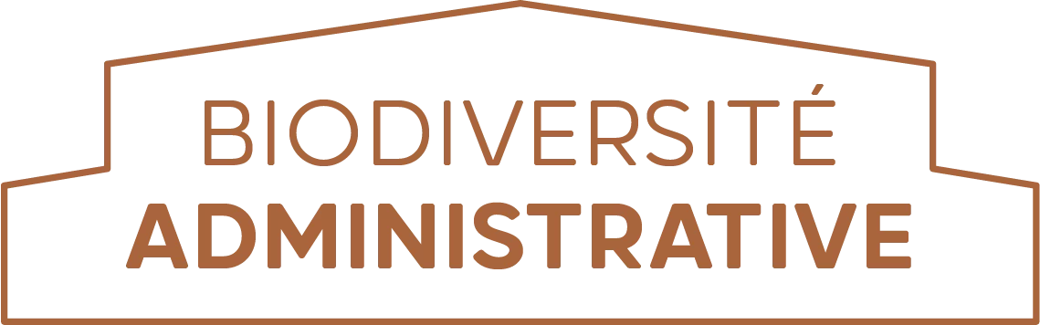 Logo du site